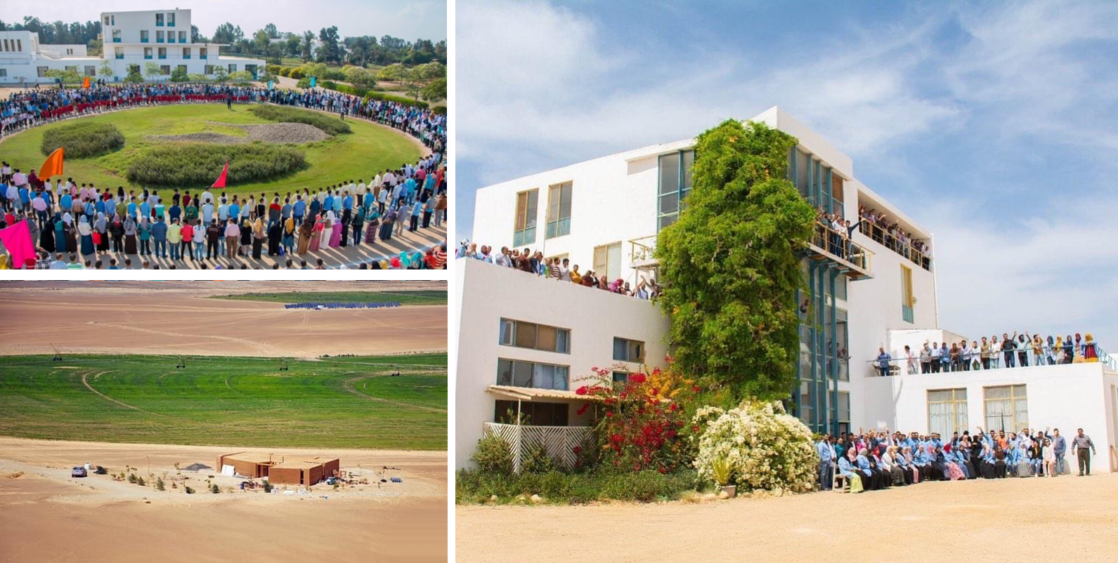 Studierejse Seekem Egypten